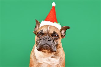 French Bulldog dog dressed up with small red Santa Claus Christmas costume hat in front of green background