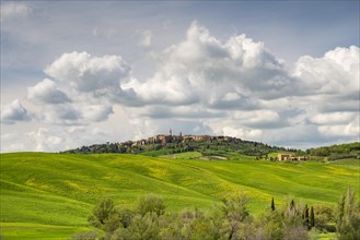 View of Pienza and fields