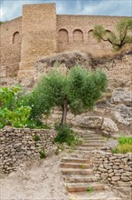 Wooden stairs leading up to the exterior wall under an olive tree under a cloudy sky