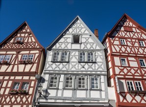 Half-timbered houses in the main street with row of half-timbered houses