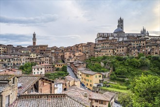 City view of Siena