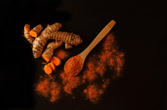 Fresh turmeric root and ground turmeric in a wooden spoon isolated on black background and copy space