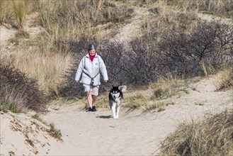 Woman walking with Siberian Husky dog on the lead in sand dunes along the North Sea coast in spring