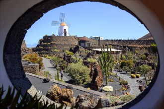 View through round wall opening on paths of cactus garden Jardin de Cactus designed by Cesar Manrique in former quarry in the background old windmill of Guatiza