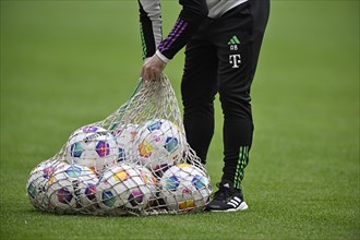 Assistant takes Adidas match balls Derbystar from ball net and puts them on the pitch for training and warm-up