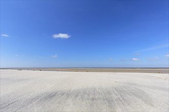 Sandy beach on a windy day