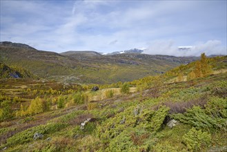 Autumn landscape in Boverdalen