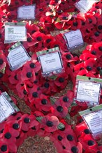 British poppy wreaths at First World War One monument at WWI battlefield of the Battle of the Somme