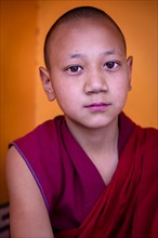 Young monk from Spituk Monastery
