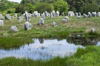 Standing stones in the Menec alignment at Carnac