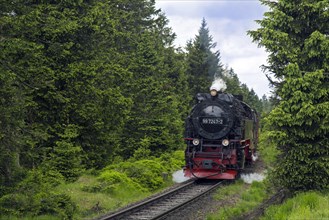 Steam train riding the Brocken Narrow Gauge railway line at the Harz National park