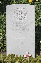 WWI grave of George Edwin Ellison