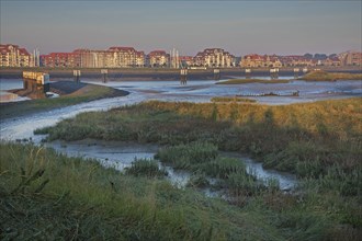 Salt marsh and mudflats at the nature reserve De IJzermonding at Nieuwpoort