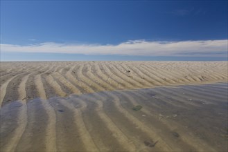 Sand ripples on mud flat
