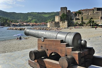 Old cannon and the fort Chateau royal de Collioure