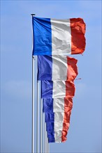 Row of French national flags of France on flagpoles flying in the wind against blue sky