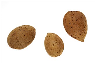Close up of three unshelled almond nuts