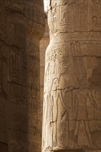 Hieroglyphs on columns of the Great Hypostyle Hall in the Precinct of Amun-Re at the Karnak Temple Complex