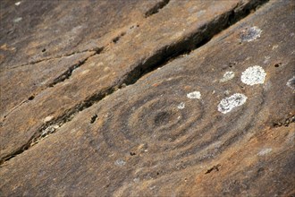 Prehistoric engraved stones at Achnabreck