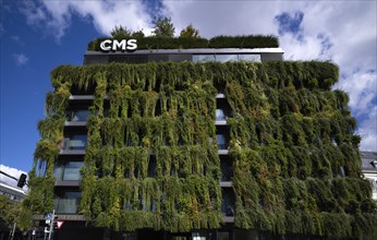 Climate-neutral facade greening on new building