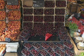Fresh cherries and apricots in a fruit shop