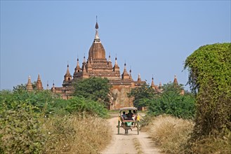 Tourists in horse drawn carriage visiting the ruins of an ancient Buddhist temple