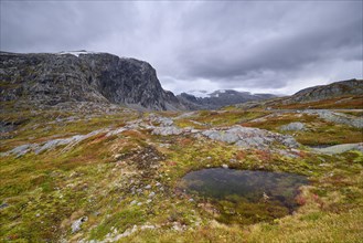 Autumn in Breiddalen