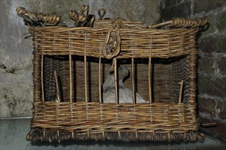 Basket with homing pigeon in museum of First World War One Fort de Vaux at Vaux-Devant-Damloup