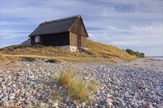 Lonely wooden fishing cabin in the dunes along the Baltic Sea at Havaeng