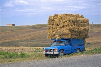 Blue pickup truck heavily loaded with hay bales in rural Iran