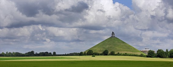 The Lion Hill