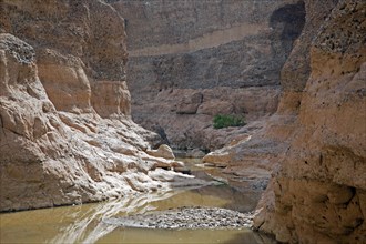 Sesriem canyon carved by the Tsauchab rivier in the Namib Desert