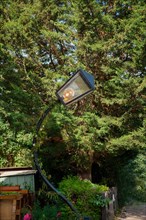 Curved lantern with one energy-saving lamp