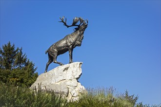 Caribou at the Beaumont-Hamel Newfoundland Memorial
