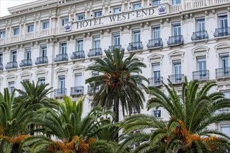Palm trees and the Hotel West End along the Promenade des Anglais in the city Nice