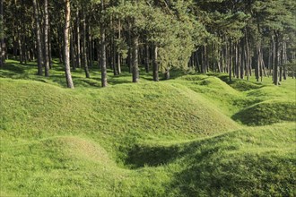 Preserved battlefield showing bomb craters near the Canadian National Vimy Memorial