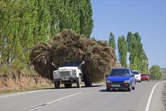 Truck with load of hay on the road from Osh to Sary-Tash in Kyrgyzstan