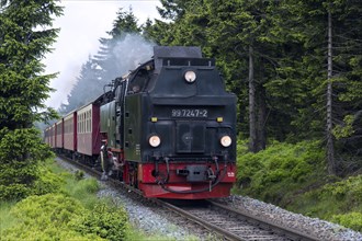 Steam train riding the Brocken Narrow Gauge railway line at the Harz National park