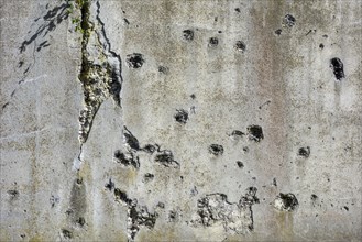 Bullet-scarred wall in the Fort de Loncin