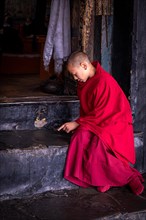 Young monk from Spituk Monastery