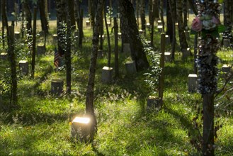 Shiny commemoration stones for fallen American soldiers at Bois de la Paix