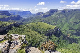 View from Lowveld Viewpoint over the Blyde River Canyon