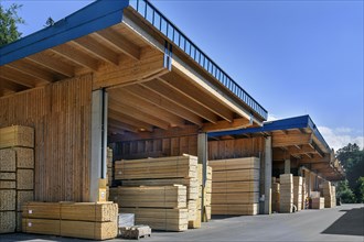 Large warehouse with stacks of boards and beams in a sawmill