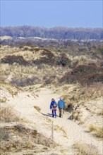 Two walkers walking in the sand dunes of the nature reserve De Westhoek