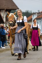 Shepherdess leading Haflinger horse