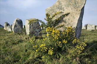 Neolithic menhirs