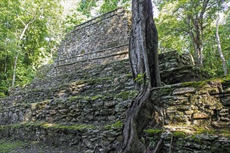 Ancient Maya ruins at Muyil