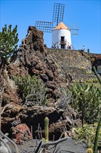 View of old windmill of Guatiza on the edge of former quarry today cactus garden Jardin de Cactus designed by Cesar Manrique
