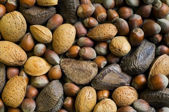 Mixture of dry nuts: hazelnuts