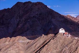 Namgyal Tsemo Gompa Monastery on Tsenmo Hill